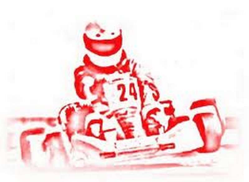 El Piloto Navarro Roberto Hern&aacute;ndez Gotor vence en la prueba de Karting SebuscaPiloto